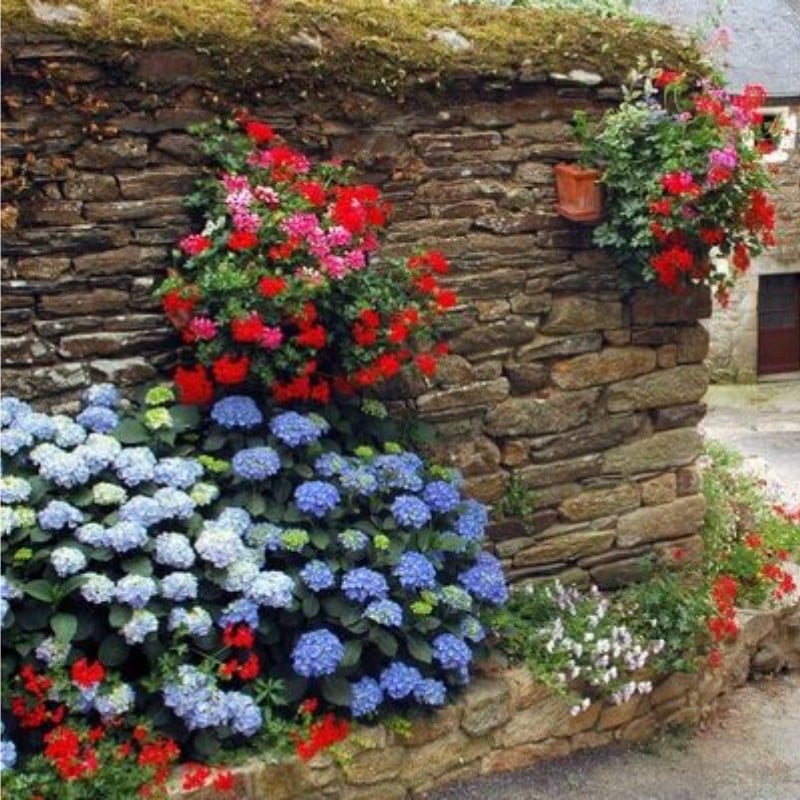 Artificial Hydrangea Flowers For Outdoors💐