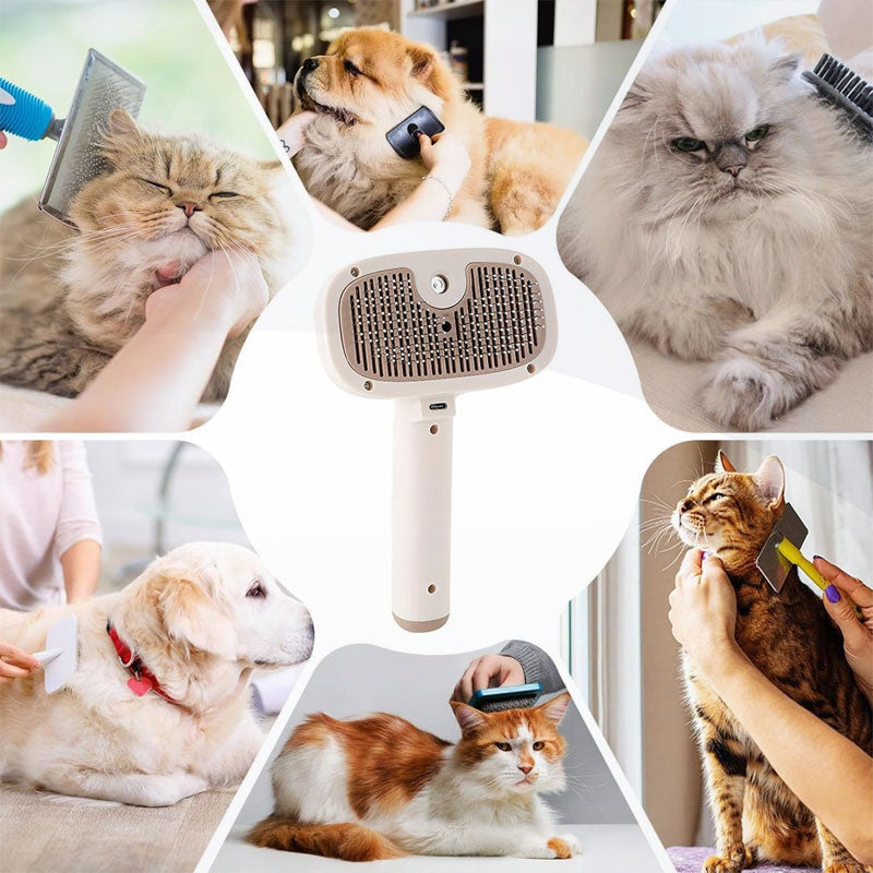 Rechargeable Cat Steam Brush with Self Cleaning