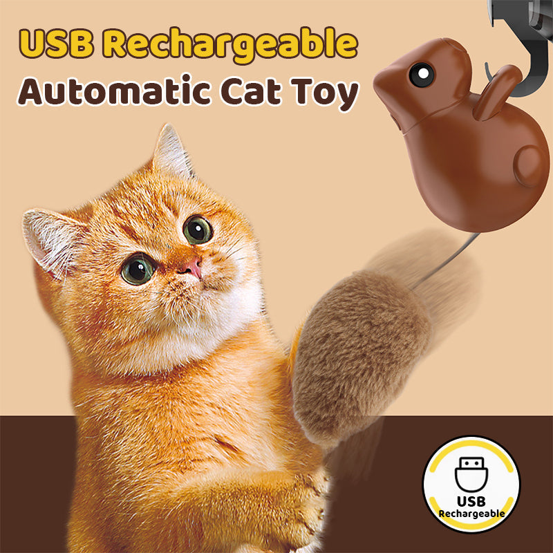 USB Rechargeable Automatic Cat Toy