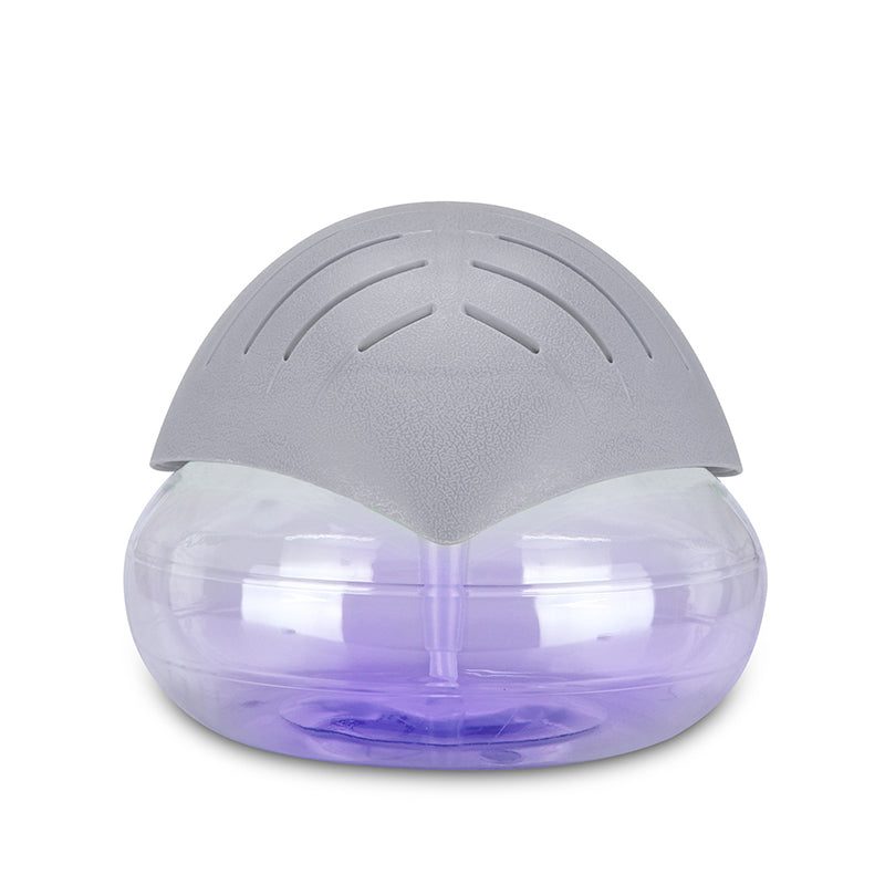 Portable Fog-Free Air Humidifier & Purifier-Free Shipping