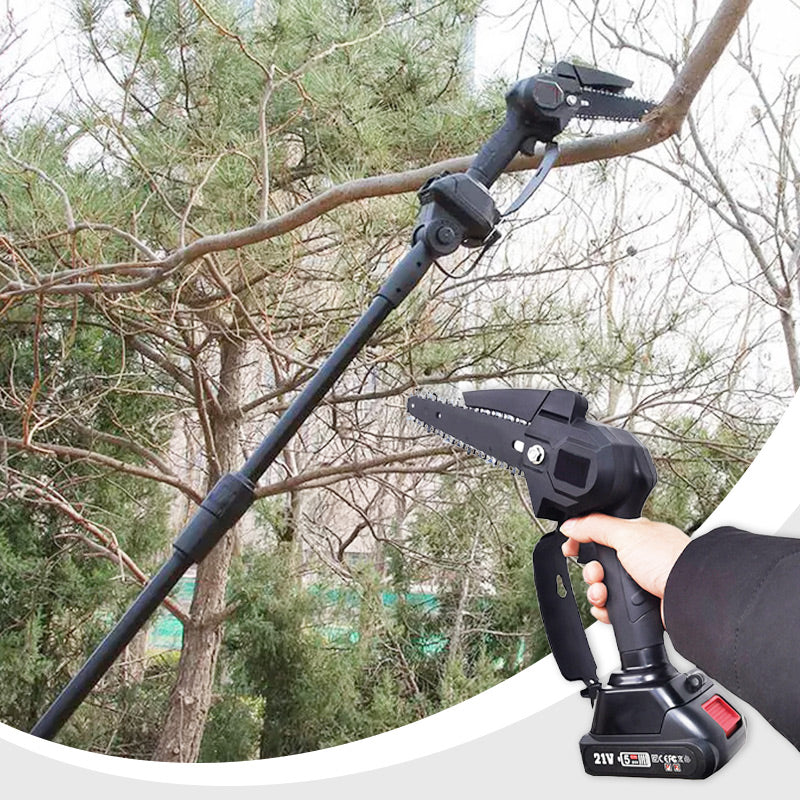 2-in-1 Cordless Pole Saw & Mini Chainsaw