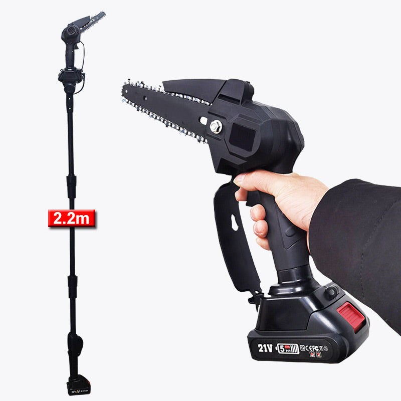 2-in-1 Cordless Pole Saw & Mini Chainsaw